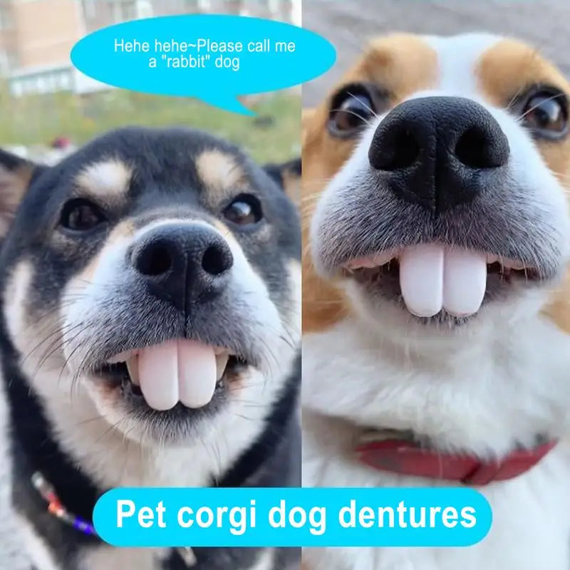 S428df780849c407da98c3cd26787e190v